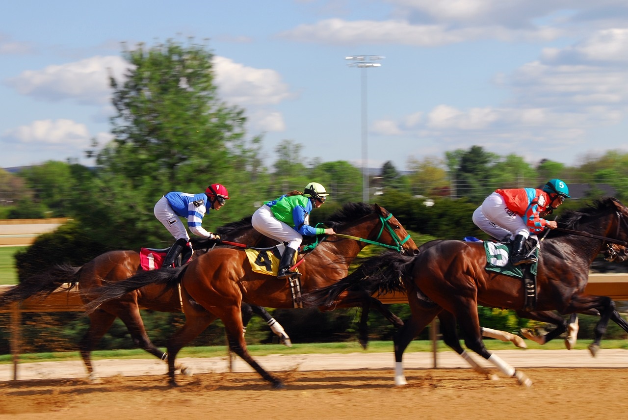 horse-racing