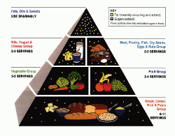 1992 - First USDA Food Pyramid Is Released