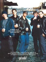 1993 - "Got Milk?" Advertising Campaign Launched