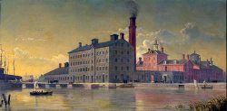 1840-1920s - Milk Production and Distillery Dairies in the United States