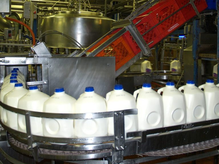 How Milk Gets from the Cow to the Store Milk