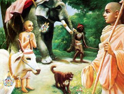 2000 BC - The Domesticated Cow Appears in Northern Indian Vedic Civilization