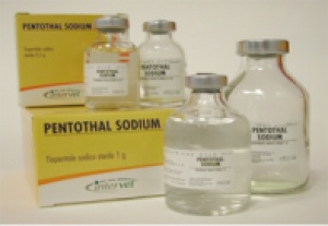 pentothal-sodium-death-penalty-timeline