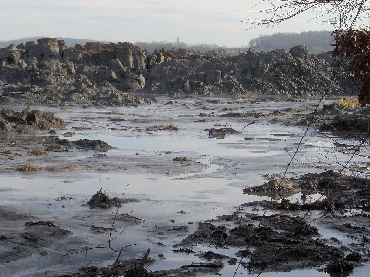 Kingston-plant-spill-swanpond