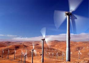 <a name="wind_bird_kills"></a>1981 - Construction Begins on the World's Largest Wind Farm in California's Altamont Pass; Bird Deaths from Wind Turbines Number in the Thousands